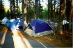 Diamond Lake tents